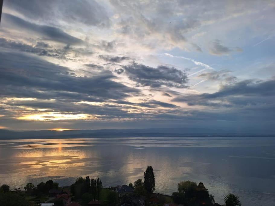 Appartement Avec Vue 180 Sur Le Lac Leman Thonon-les-Bains Exterior photo