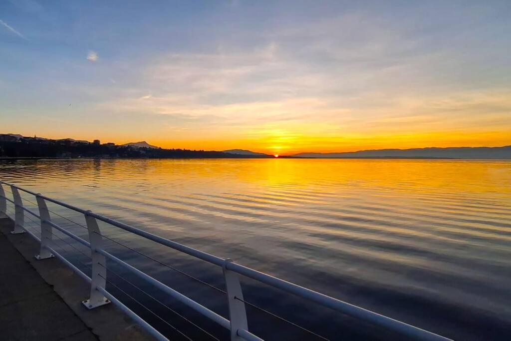 Appartement Avec Vue 180 Sur Le Lac Leman Thonon-les-Bains Exterior photo